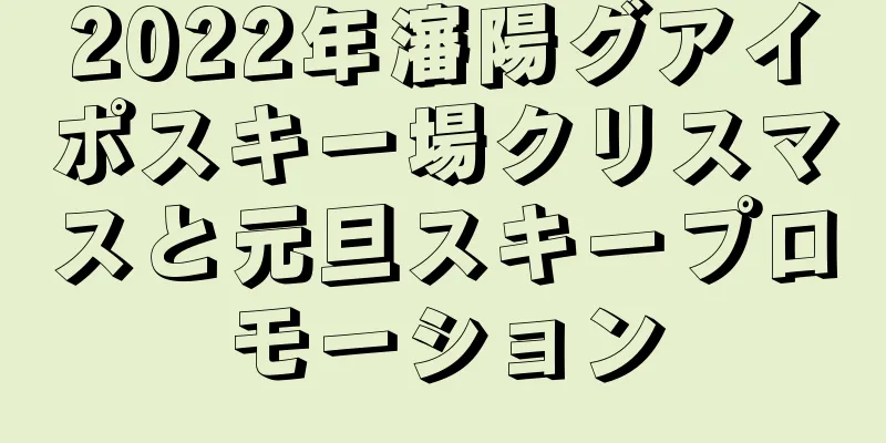2022年瀋陽グアイポスキー場クリスマスと元旦スキープロモーション