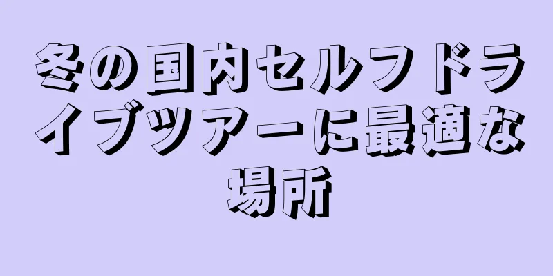冬の国内セルフドライブツアーに最適な場所
