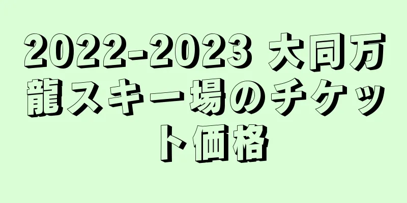 2022-2023 大同万龍スキー場のチケット価格
