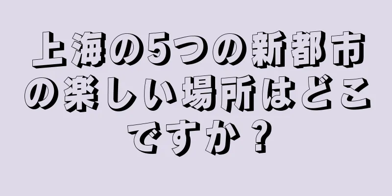 上海の5つの新都市の楽しい場所はどこですか？