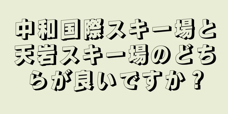 中和国際スキー場と天岩スキー場のどちらが良いですか？