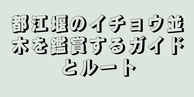 都江堰のイチョウ並木を鑑賞するガイドとルート