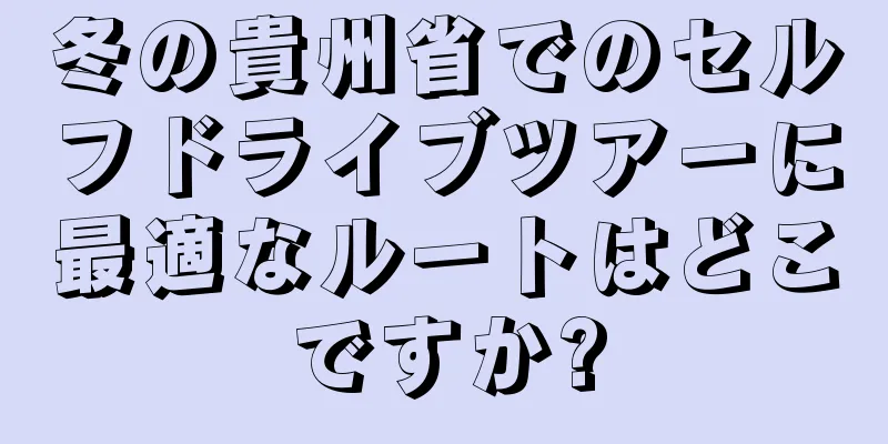 冬の貴州省でのセルフドライブツアーに最適なルートはどこですか?