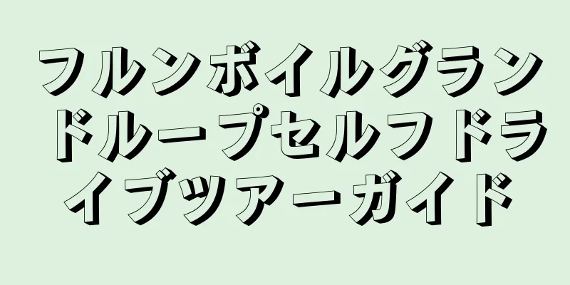 フルンボイルグランドループセルフドライブツアーガイド
