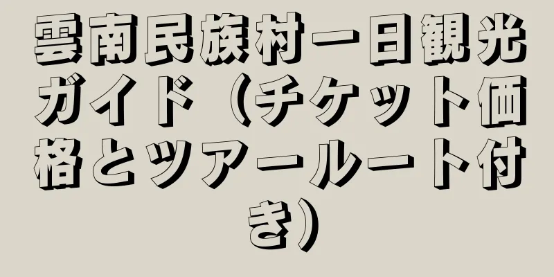 雲南民族村一日観光ガイド（チケット価格とツアールート付き）