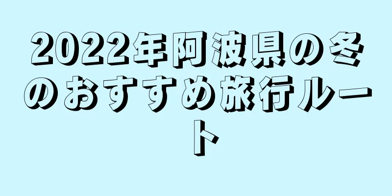 2022年阿波県の冬のおすすめ旅行ルート