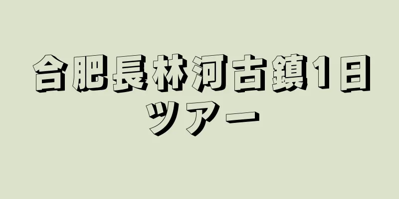 合肥長林河古鎮1日ツアー