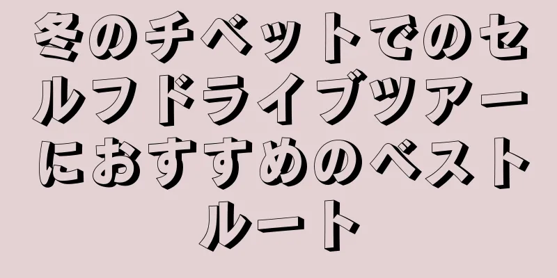 冬のチベットでのセルフドライブツアーにおすすめのベストルート