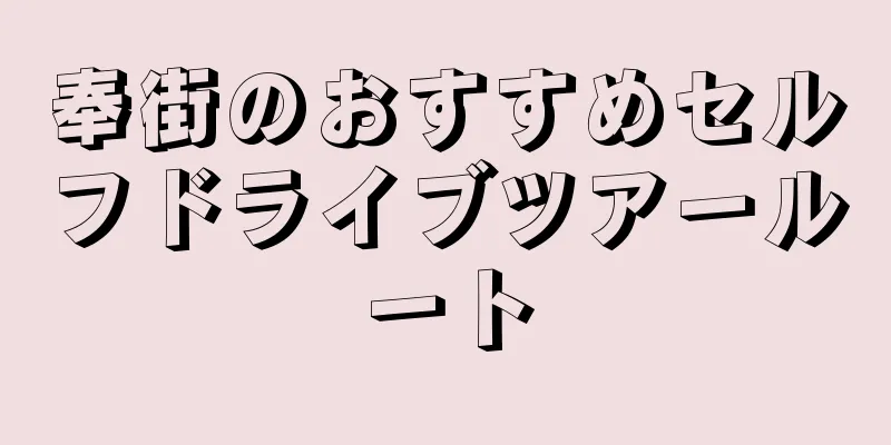奉街のおすすめセルフドライブツアールート