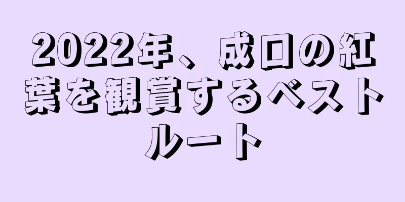 2022年、成口の紅葉を観賞するベストルート