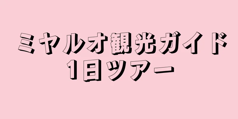 ミヤルオ観光ガイド1日ツアー