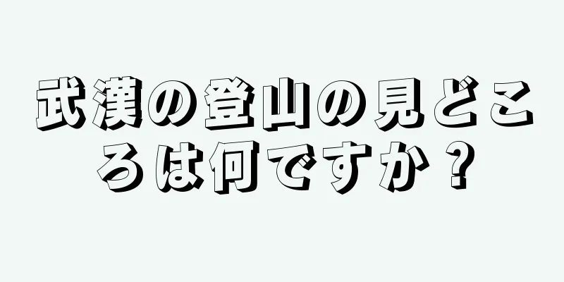武漢の登山の見どころは何ですか？