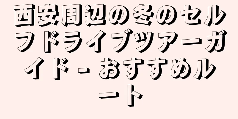 西安周辺の冬のセルフドライブツアーガイド - おすすめルート