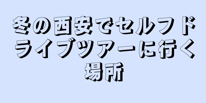 冬の西安でセルフドライブツアーに行く場所