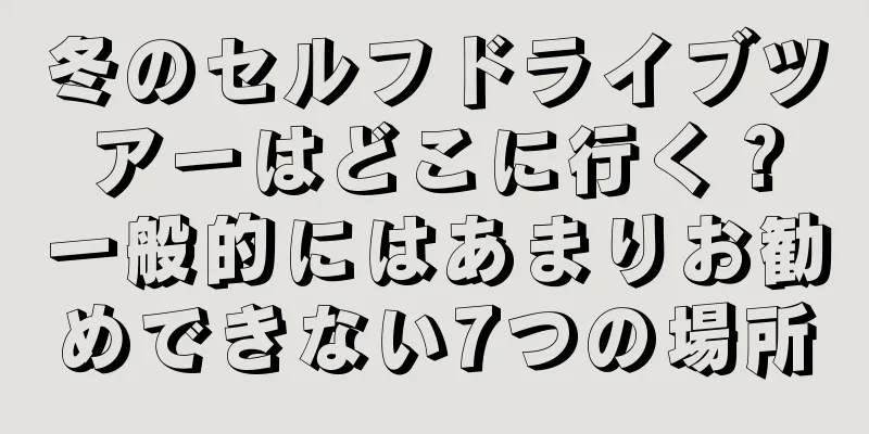冬のセルフドライブツアーはどこに行く？一般的にはあまりお勧めできない7つの場所