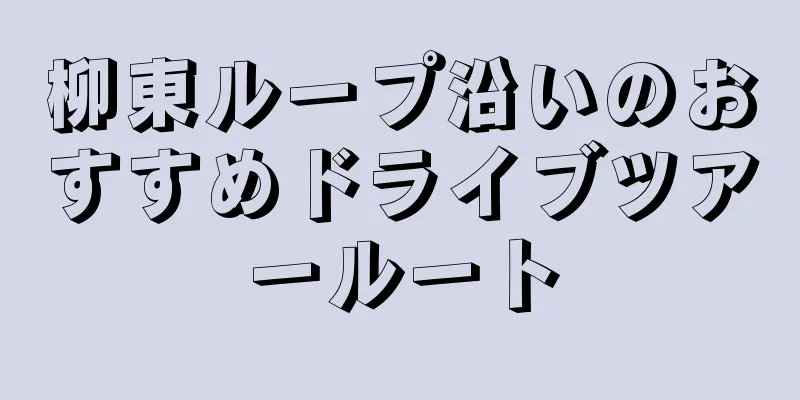 柳東ループ沿いのおすすめドライブツアールート