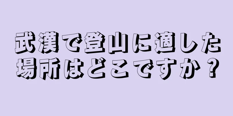 武漢で登山に適した場所はどこですか？
