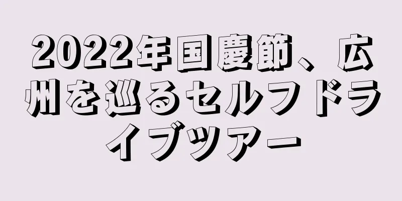 2022年国慶節、広州を巡るセルフドライブツアー