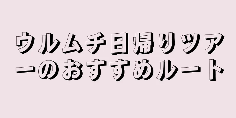 ウルムチ日帰りツアーのおすすめルート