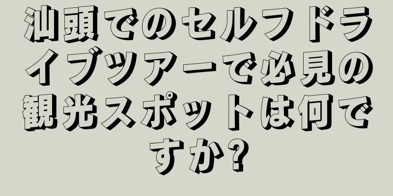 汕頭でのセルフドライブツアーで必見の観光スポットは何ですか?