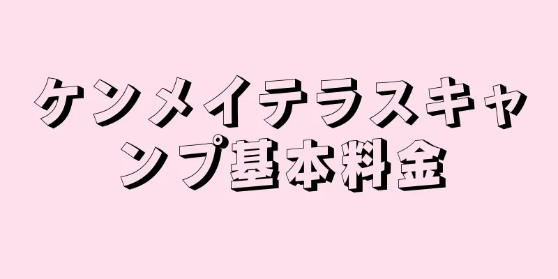 ケンメイテラスキャンプ基本料金