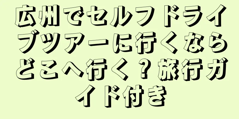 広州でセルフドライブツアーに行くならどこへ行く？旅行ガイド付き