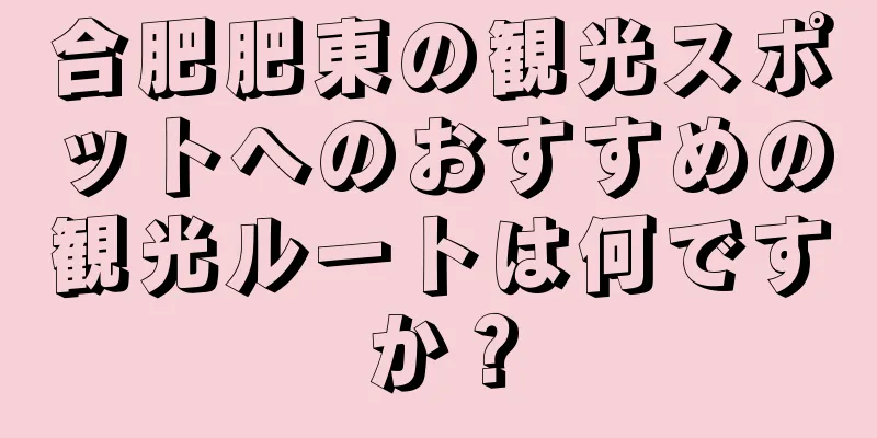 合肥肥東の観光スポットへのおすすめの観光ルートは何ですか？