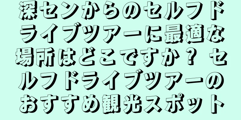 深センからのセルフドライブツアーに最適な場所はどこですか？ セルフドライブツアーのおすすめ観光スポット