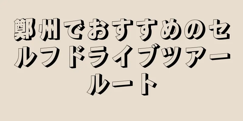 鄭州でおすすめのセルフドライブツアールート