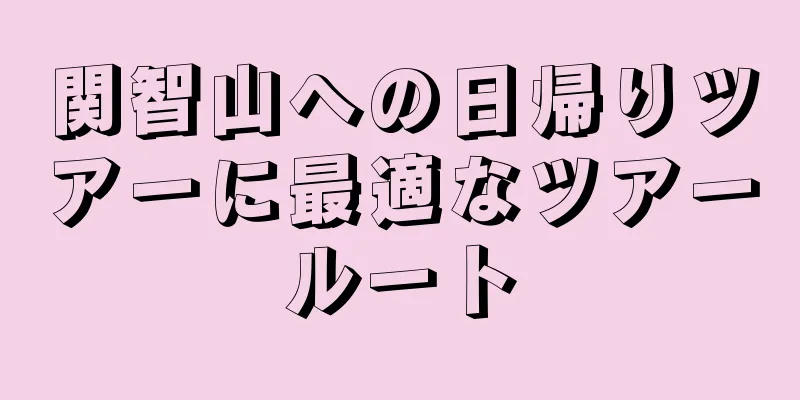 関智山への日帰りツアーに最適なツアールート