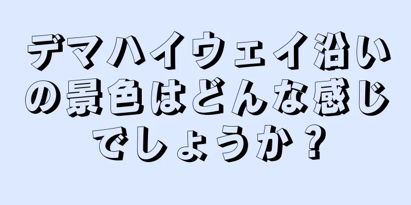 デマハイウェイ沿いの景色はどんな感じでしょうか？