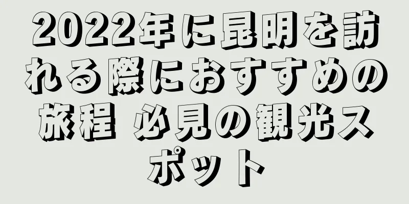 2022年に昆明を訪れる際におすすめの旅程 必見の観光スポット
