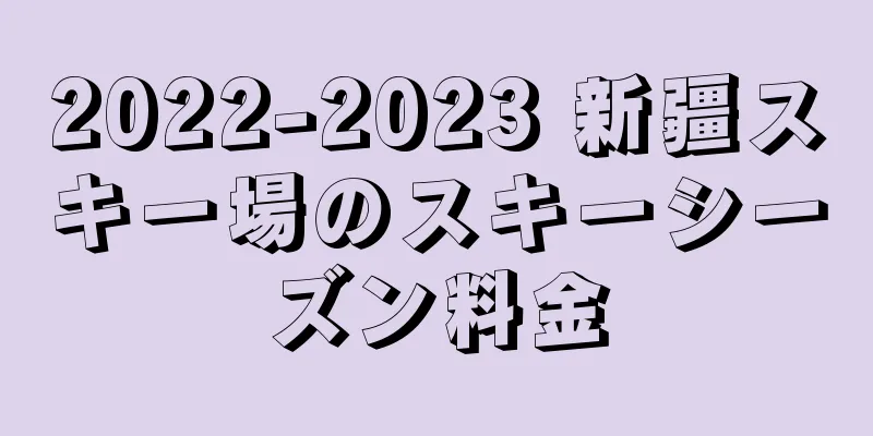 2022-2023 新疆スキー場のスキーシーズン料金