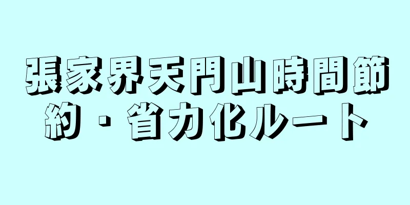 張家界天門山時間節約・省力化ルート