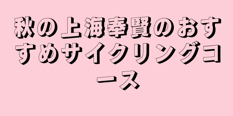 秋の上海奉賢のおすすめサイクリングコース