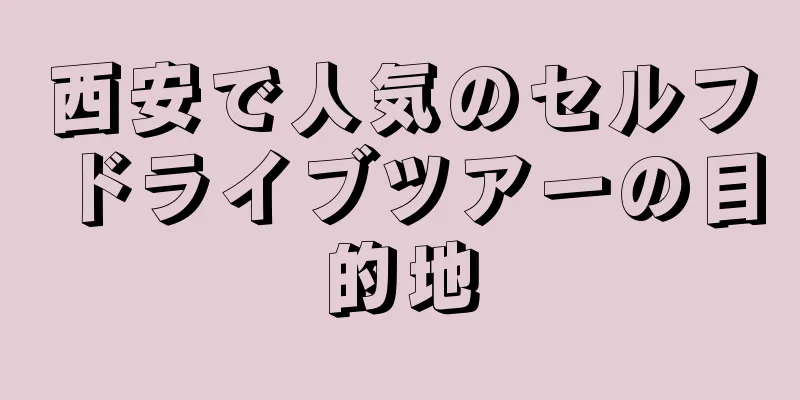 西安で人気のセルフドライブツアーの目的地
