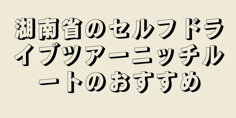 湖南省のセルフドライブツアーニッチルートのおすすめ