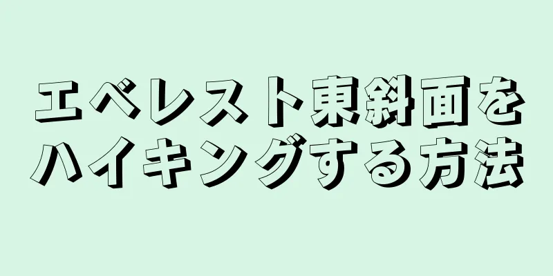エベレスト東斜面をハイキングする方法