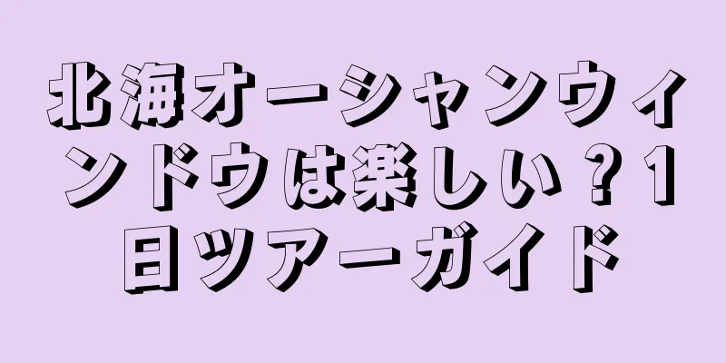 北海オーシャンウィンドウは楽しい？1日ツアーガイド