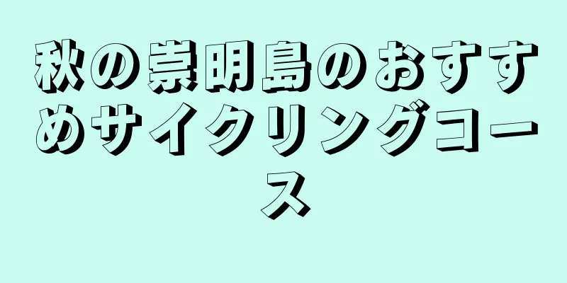 秋の崇明島のおすすめサイクリングコース