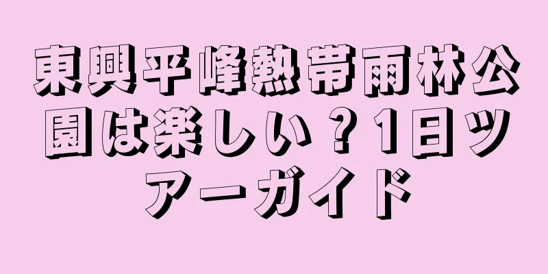 東興平峰熱帯雨林公園は楽しい？1日ツアーガイド