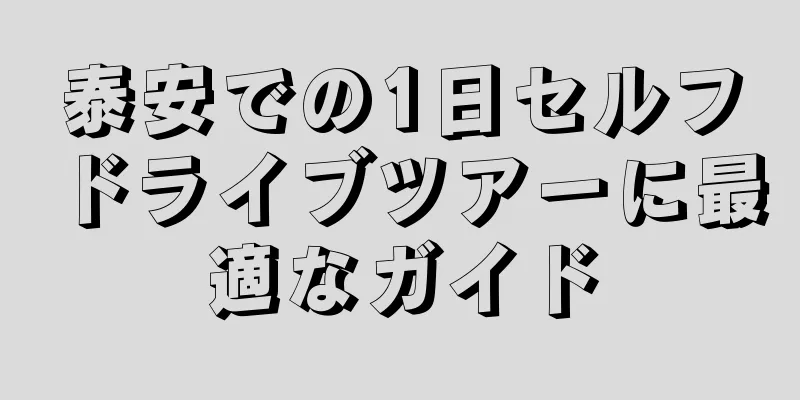 泰安での1日セルフドライブツアーに最適なガイド