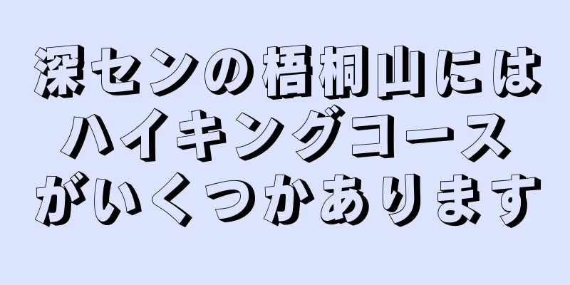 深センの梧桐山にはハイキングコースがいくつかあります