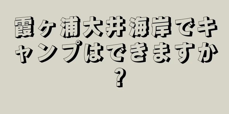 霞ヶ浦大井海岸でキャンプはできますか？