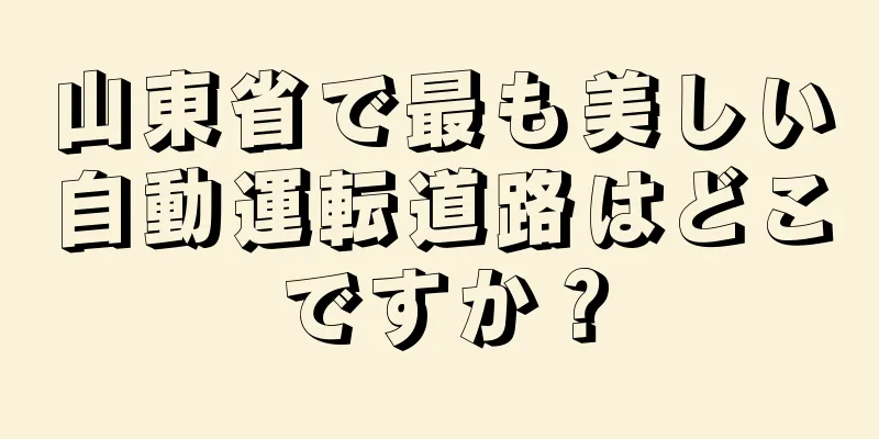 山東省で最も美しい自動運転道路はどこですか？