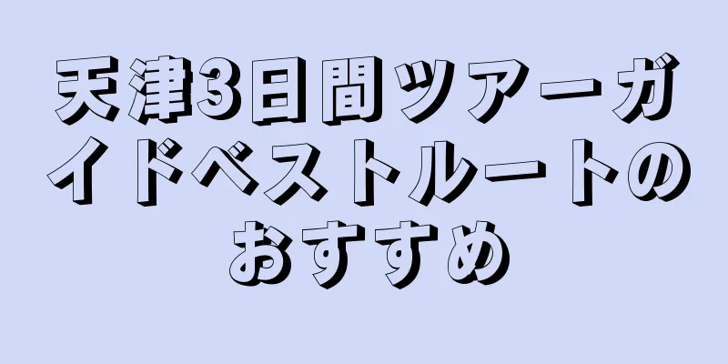 天津3日間ツアーガイドベストルートのおすすめ