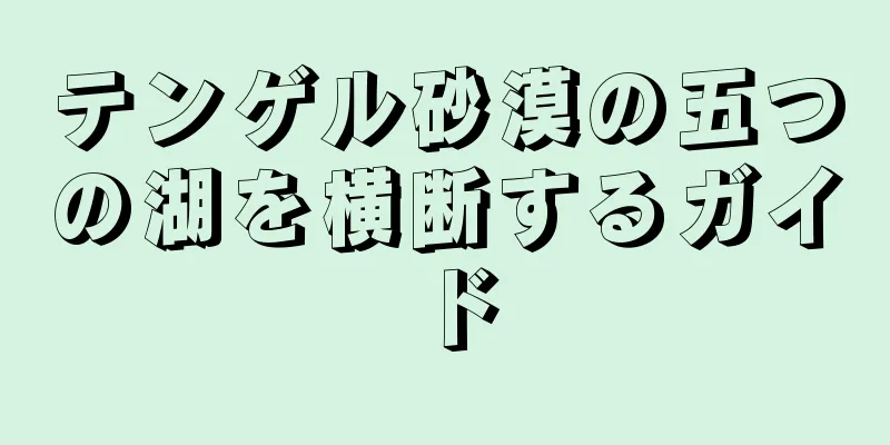 テンゲル砂漠の五つの湖を横断するガイド
