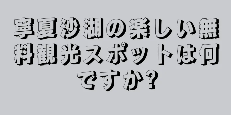 寧夏沙湖の楽しい無料観光スポットは何ですか?