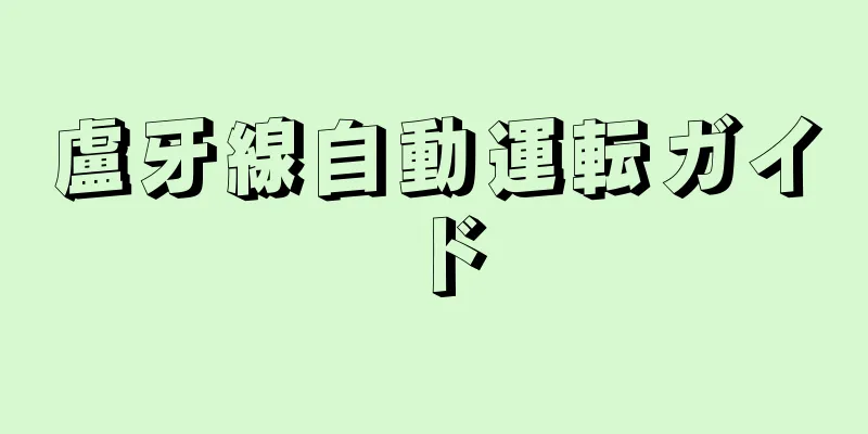 盧牙線自動運転ガイド