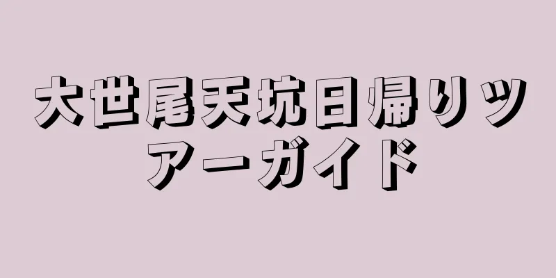 大世尾天坑日帰りツアーガイド